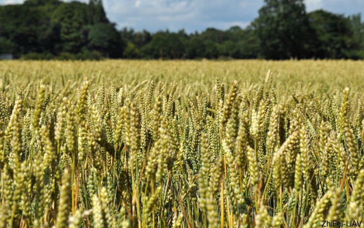 宇辰網(wǎng)_讓世界讀懂無人機(jī)_全球?qū)I(yè)無人機(jī)服務(wù)資訊平臺(tái) 河北智飛極農(nóng)無人機(jī)科技|一鳶科技|行業(yè)定制無人機(jī)