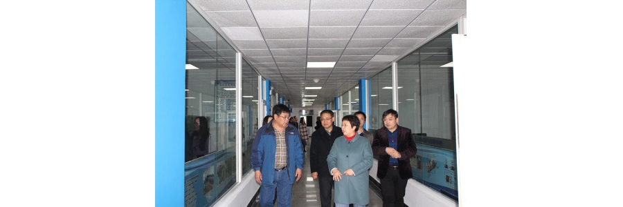 Duan Lingling, deputy director of the Hebei Agriculture and Rural Department, and his party inspected Hebei Zhifei Agricultural Technology Co., Ltd.