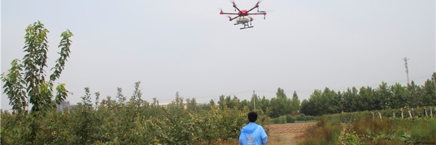 智飛極農亮相保定市示范果園上空
